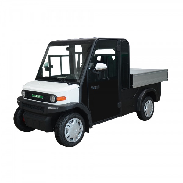 2-Seater Electric VV Cart with Cargo box