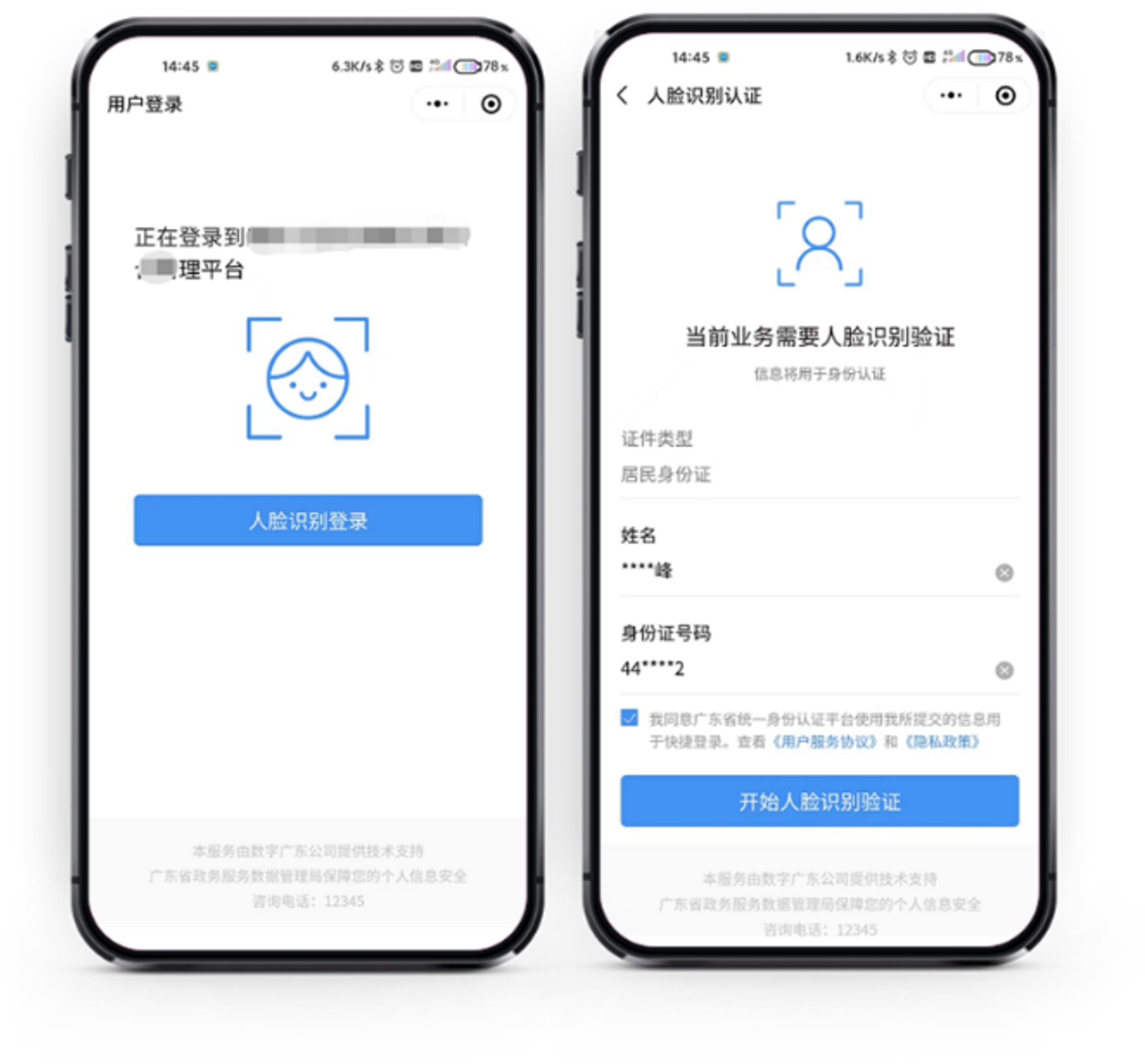 图片展示