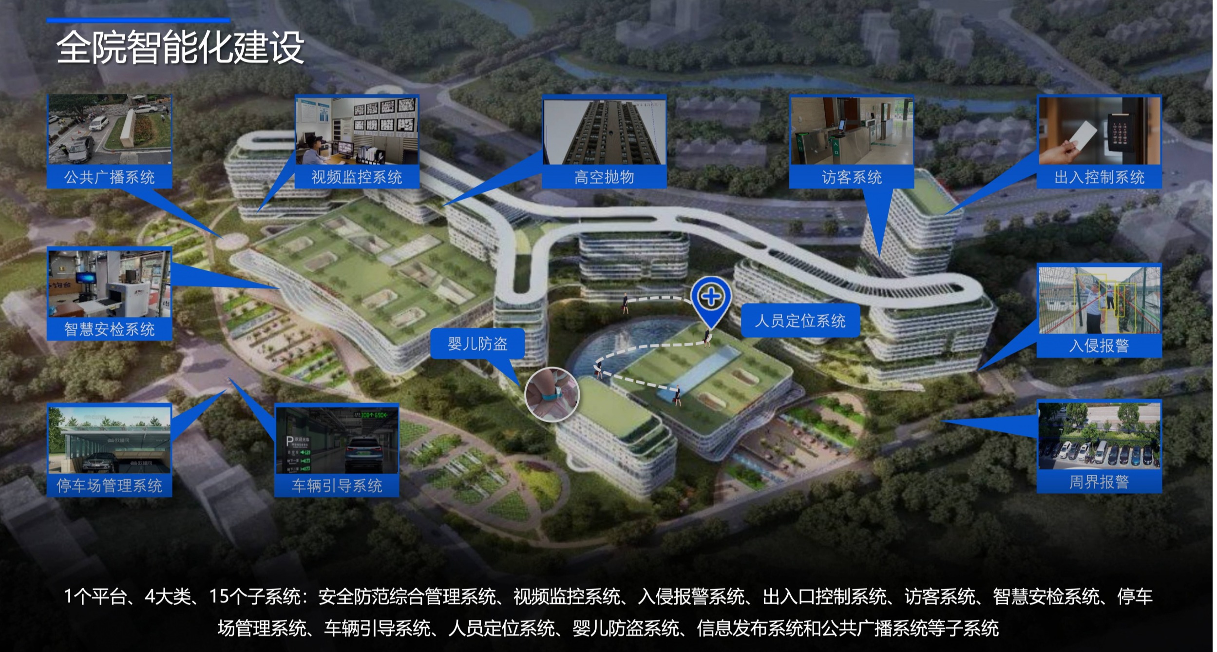 图片展示