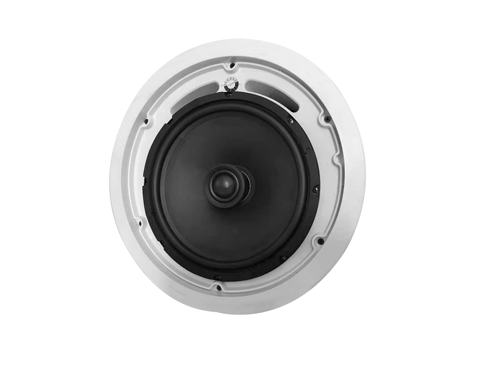 10寸吸顶同轴音箱