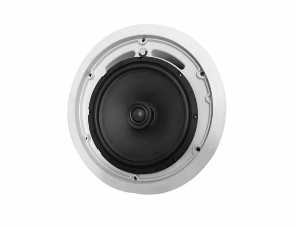 10寸吸顶同轴音箱