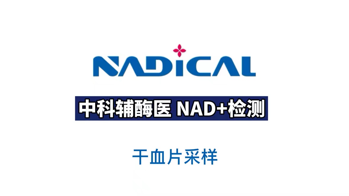 NAD+检测干血片采样方法