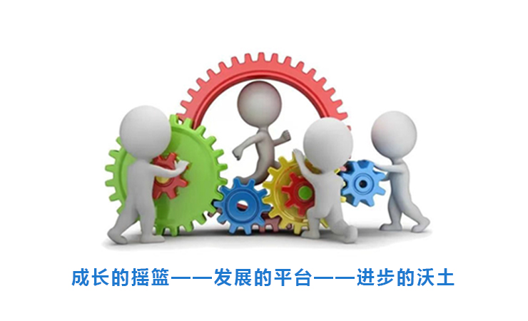 图片展示
