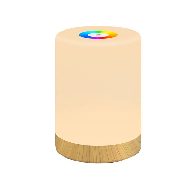 Rechargeable Color Changing LED Night Light with Handle 3 Brightness Levels | Touch Control | Long Battery Life | Portable for Home & Outdoor Use