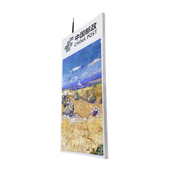 43inch hanging style double sided digital signage