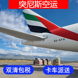 突尼格斯國際空運价