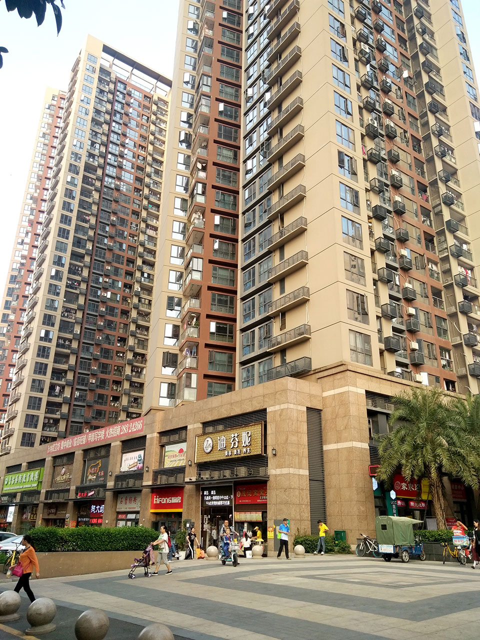 万科红