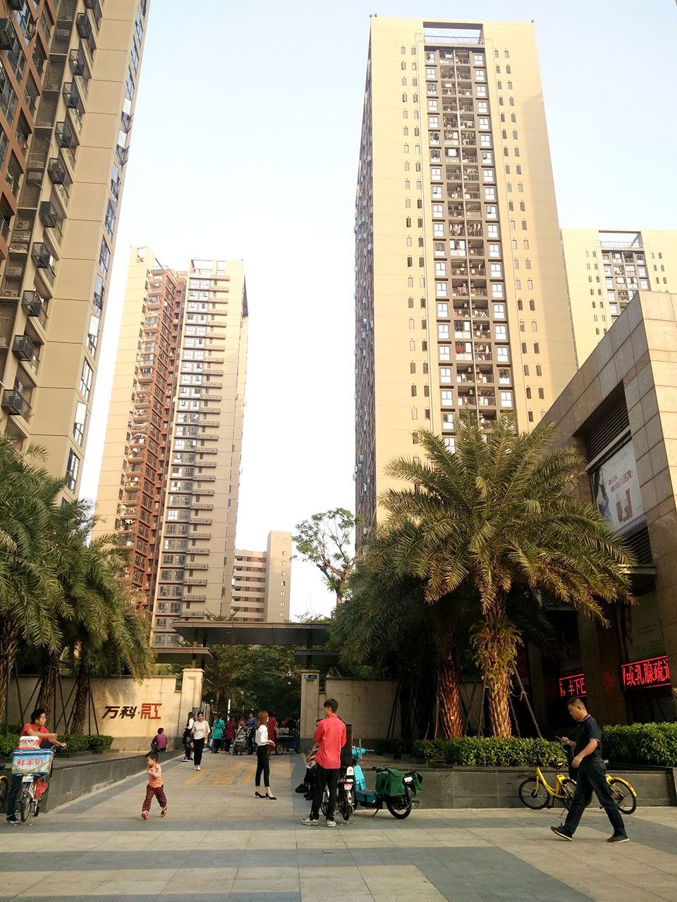 万科红