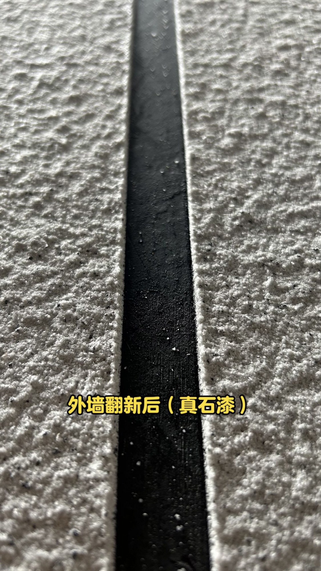 真石漆外墙面