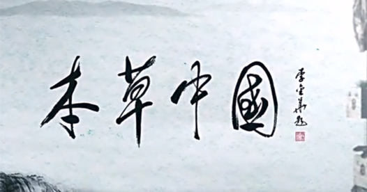 陈李济企业宣传片—本草中国