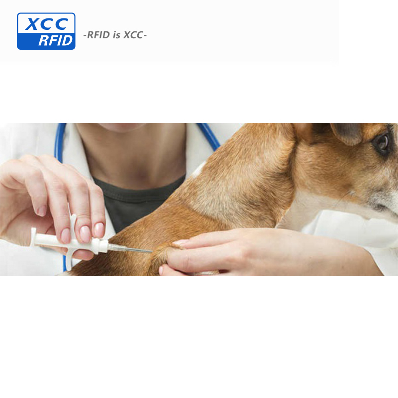 Various choice Animal MicroChip 134.2khz glass tags for pet 