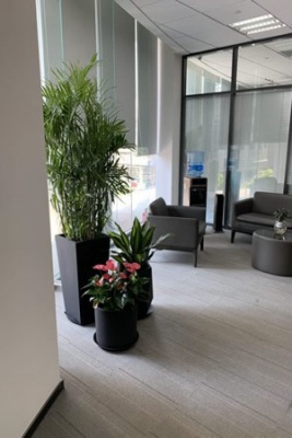银行植物租赁方案