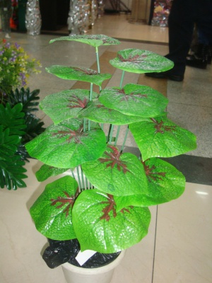 商场绿植租摆案例