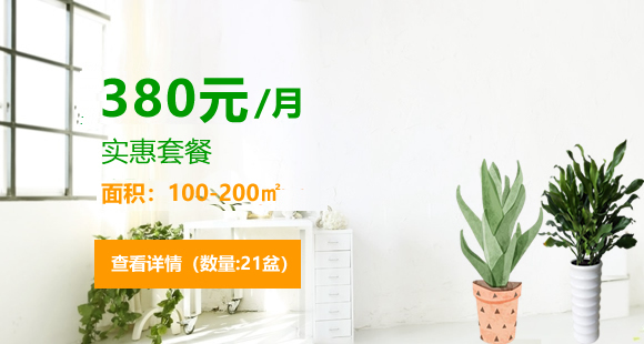 办公室花卉租摆实惠套餐-380元/月