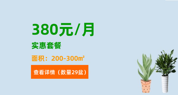 绿植租赁实惠套餐-580元/月