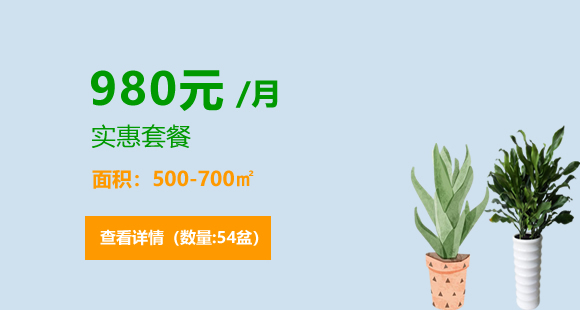 植物租摆实惠套餐-980元/月