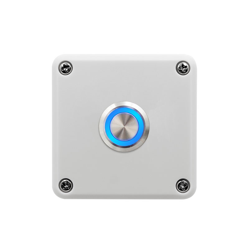 Surface Mount Button P5022L