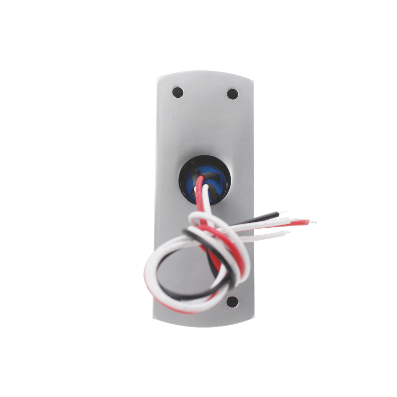 Surface Mount Button Z30LS