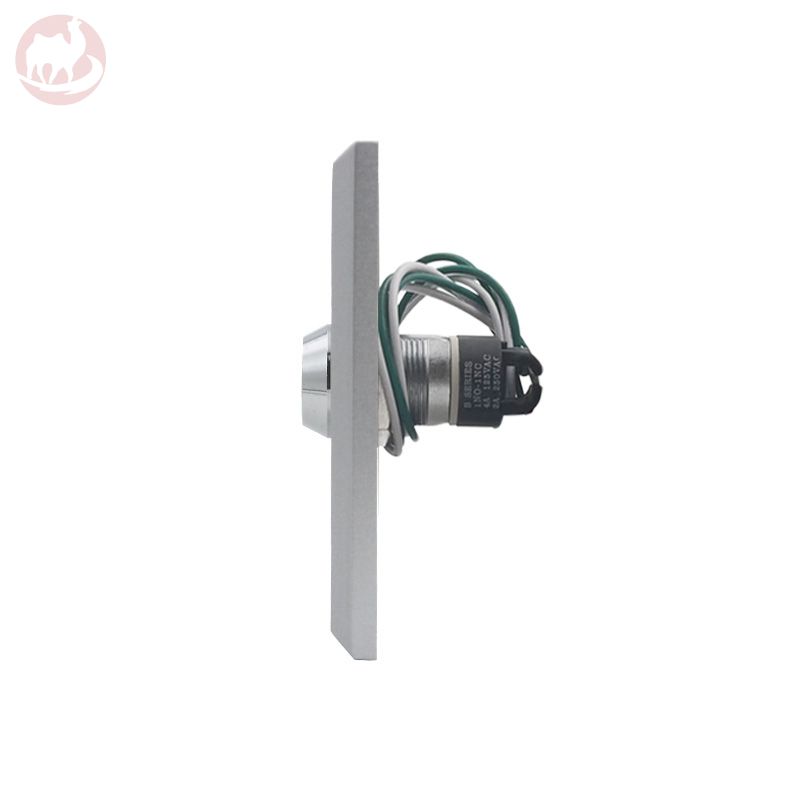 Key Switch Exit Button A50K