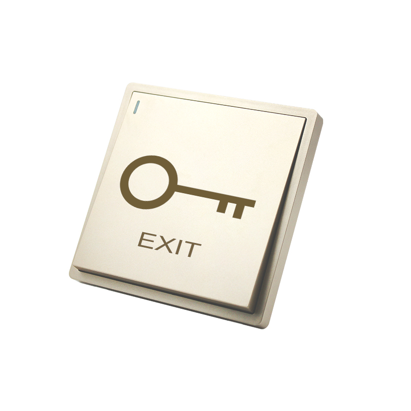 PT9 Gold Large Panel Exit Button