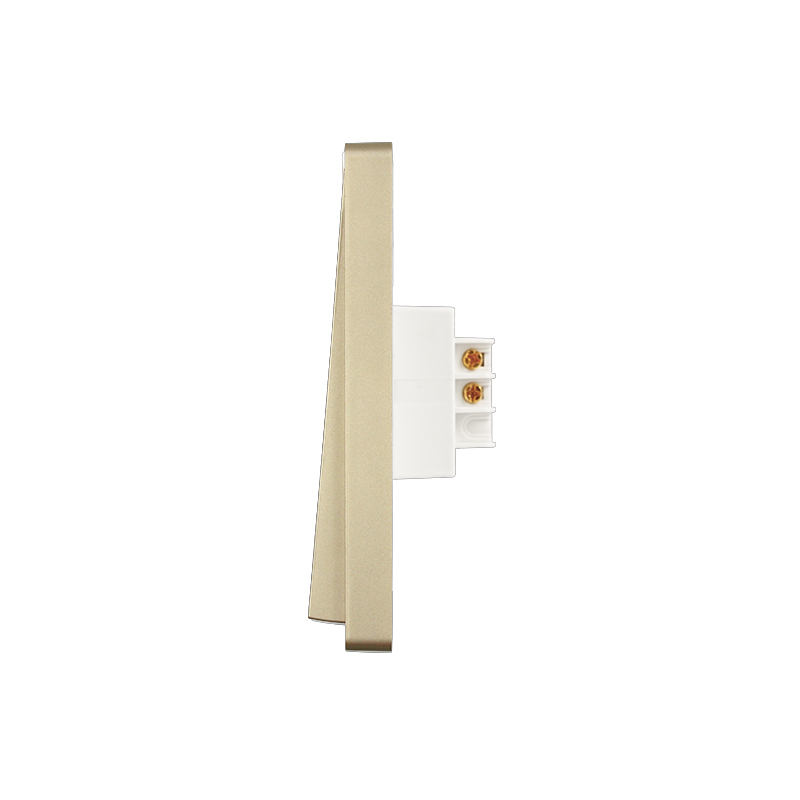 PT9 Gold Large Panel Exit Button