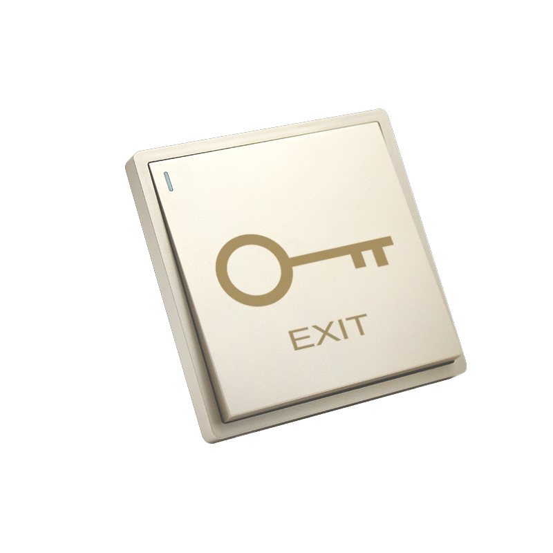 PT9 Gold Large Panel Exit Button