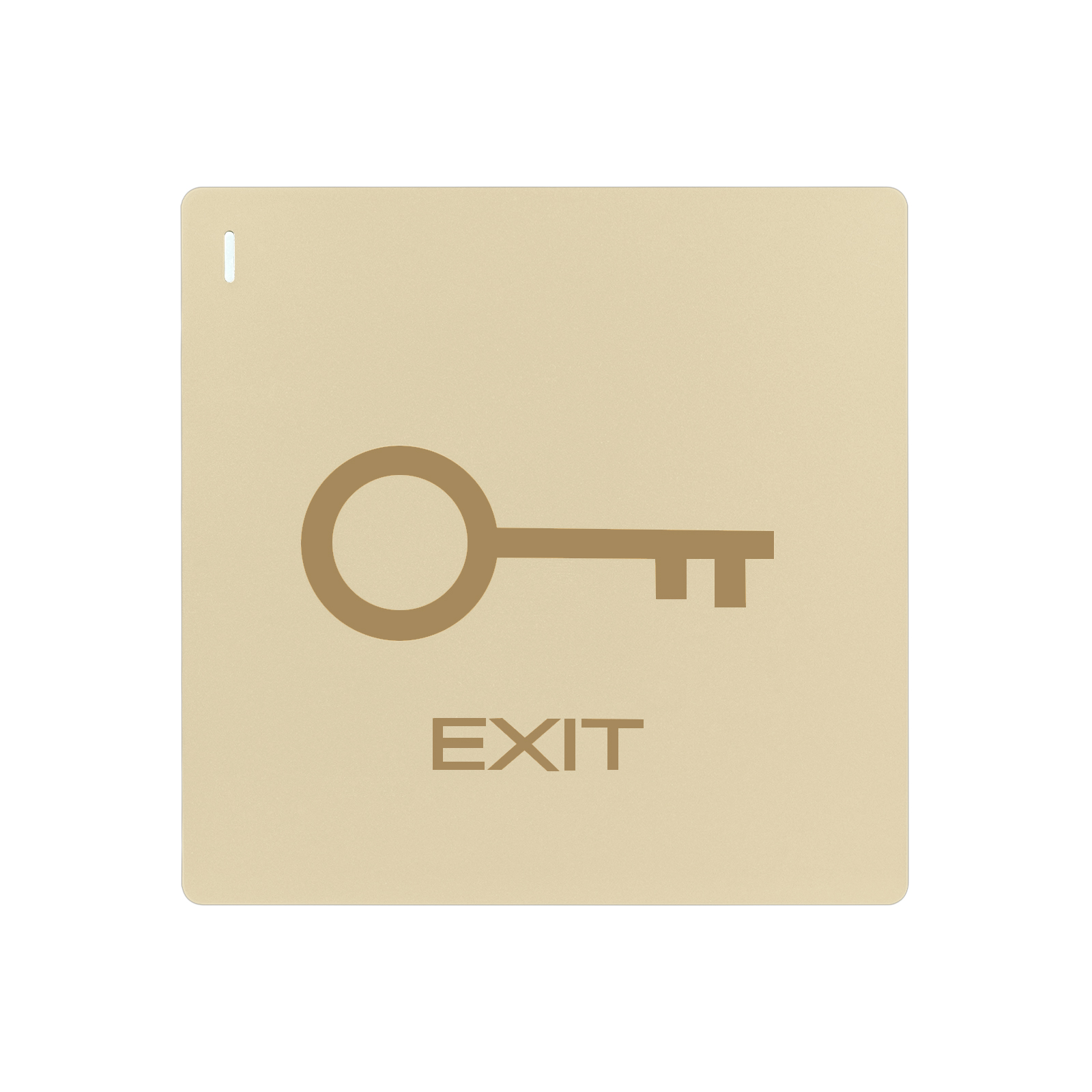 PT10 Gold Large Panel Exit Button