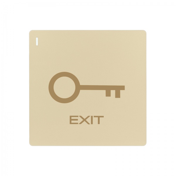 PT10 Gold Large Panel Exit Button