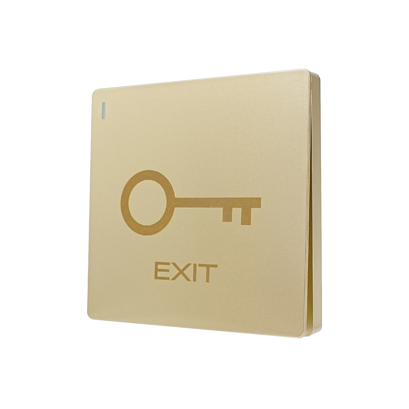 PT10 Gold Large Panel Exit Button