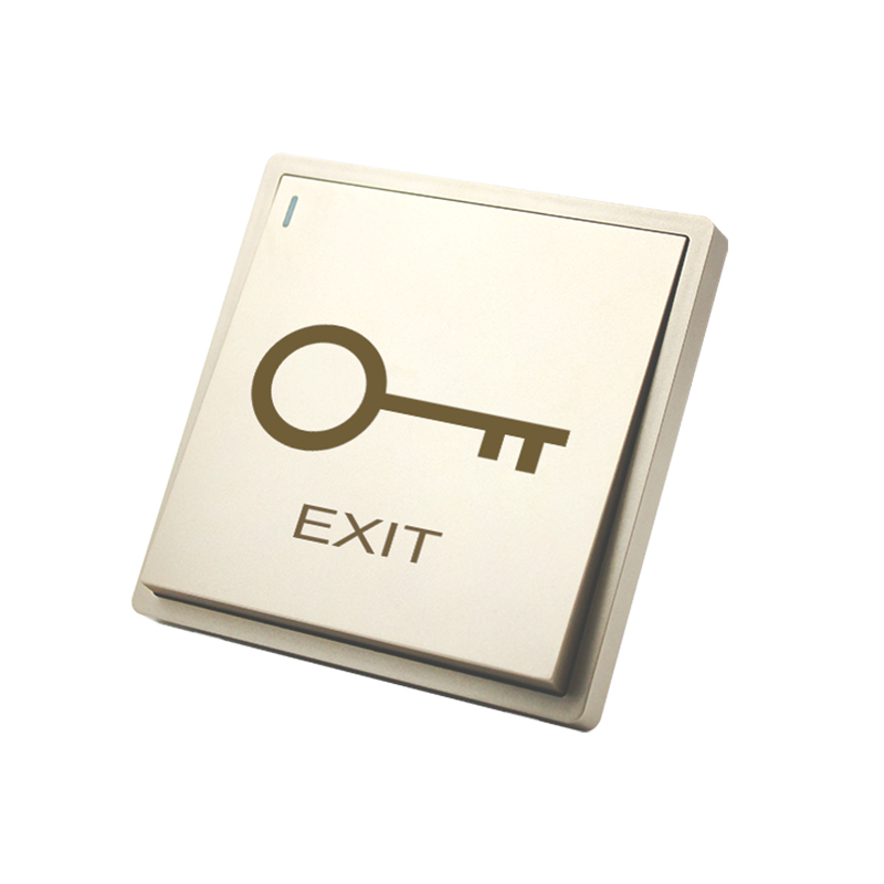 PT9D-G Gold Large Panel Exit Button