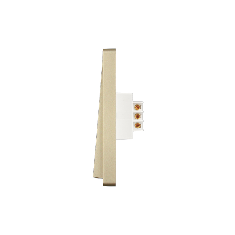 PT9D-G Gold Large Panel Exit Button