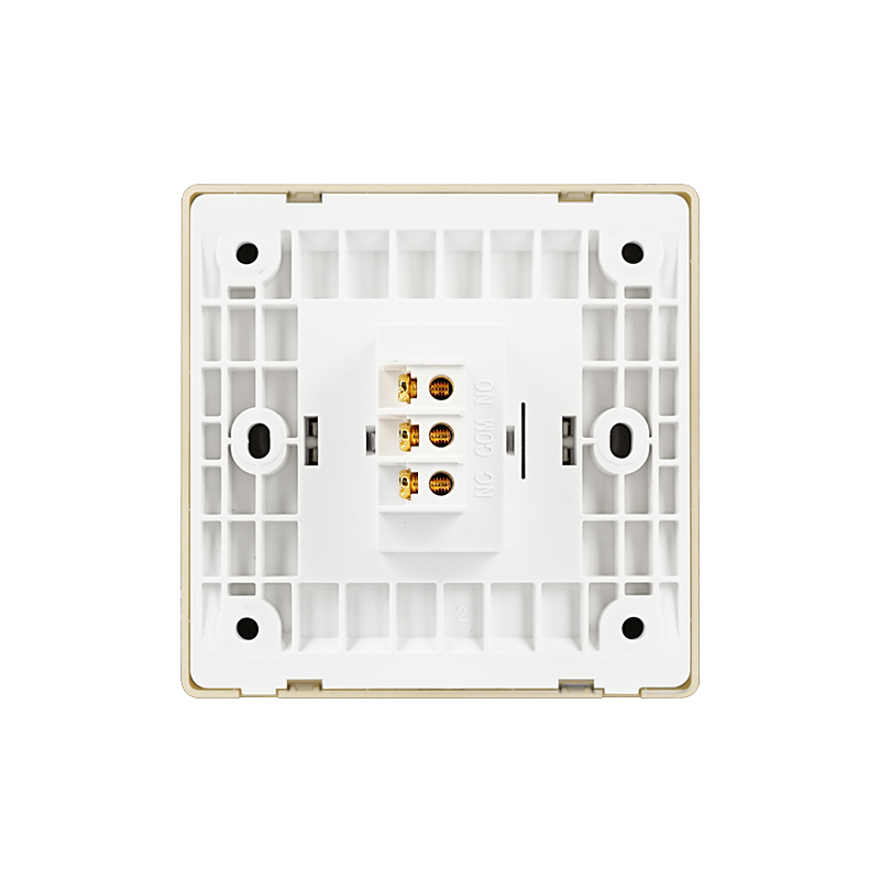 PT9D-G Gold Large Panel Exit Button