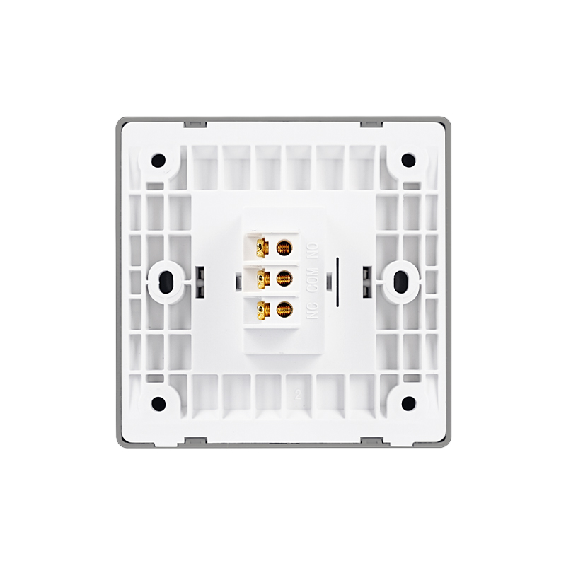 PT10D Gray Large Panel Exit Button