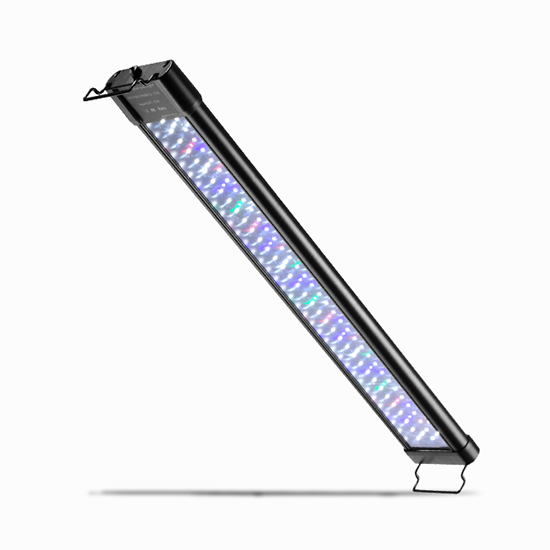 Aquarium Light
