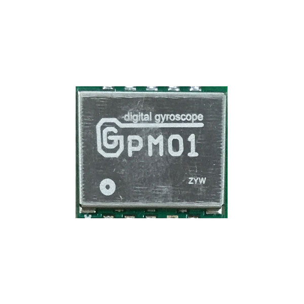 GGPM01