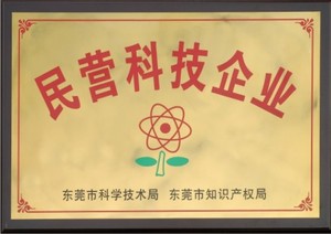 民营科技企业