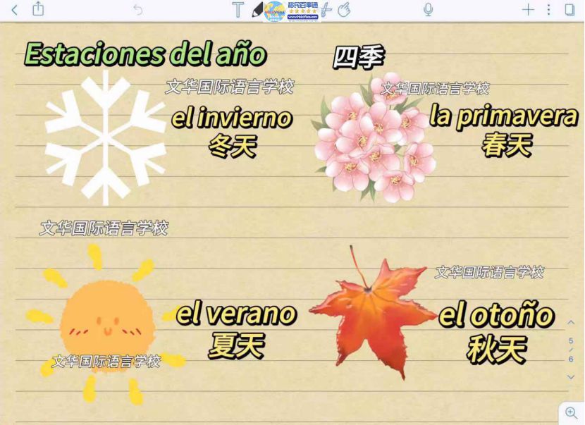 每日西语学习