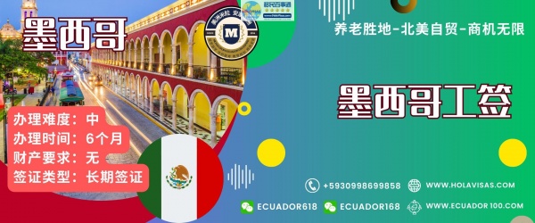 墨西哥工签