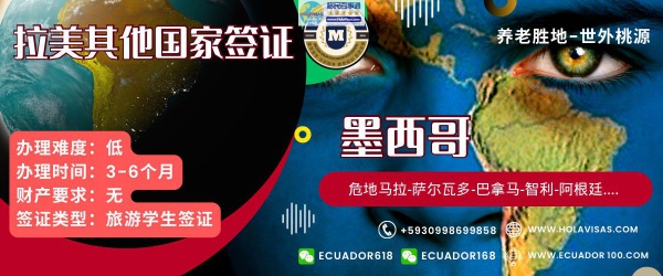 其他国家签证