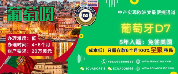 葡萄牙D7签证
