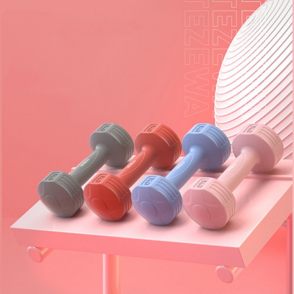 Factory Directly Sale IN STOCK 2kg,3kg,4kg,6kg,10kg Dumbbell 