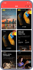 直播列表