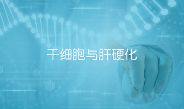 干细胞与肝硬化