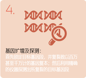 样本探集： 由受测者身上探集检测样本 （例如血液）