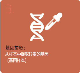 样本探集： 由受测者身上探集检测样本 （例如血液）