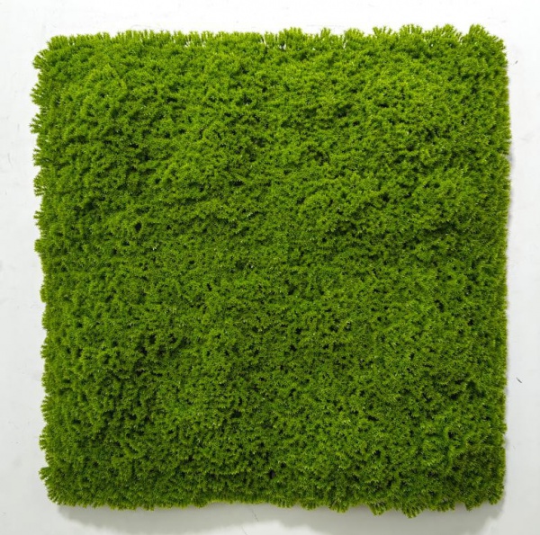 Artificial Moss Wall