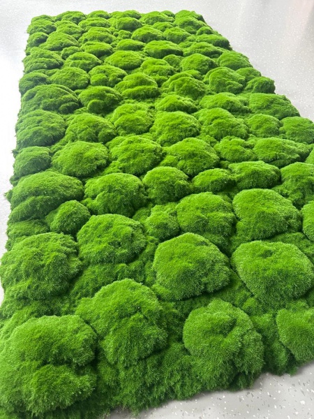 wall decor artificial moss 