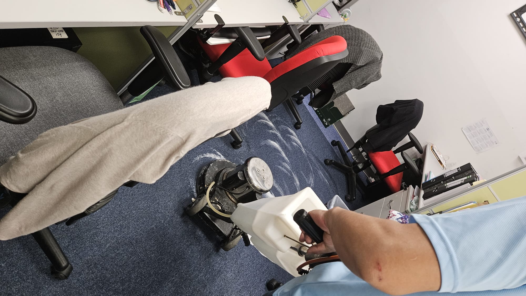 清洗地毯服務