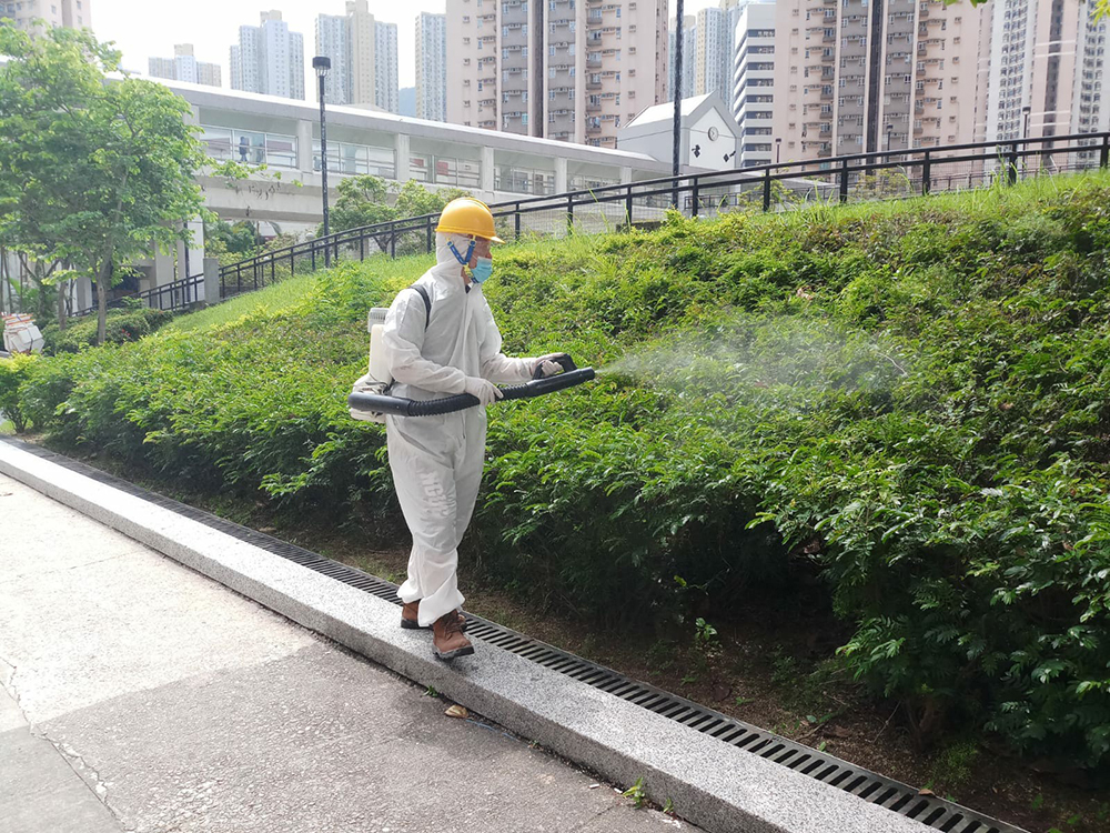 滅蟲現場