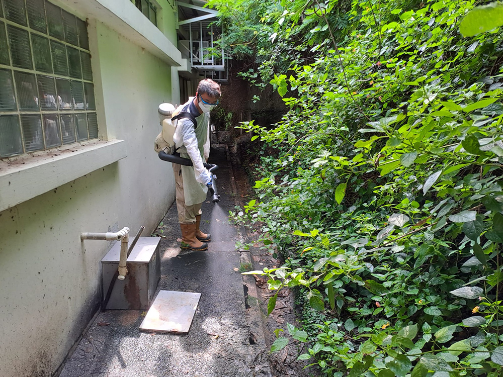 滅蟲現場